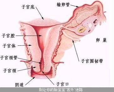 宫外孕对女性的身体有什么危害